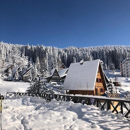 Vila Irina - Apartman Milos Kopaonik Exterior foto