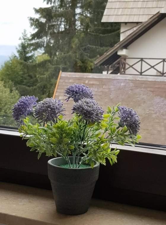 Vila Irina - Apartman Milos Kopaonik Exterior foto