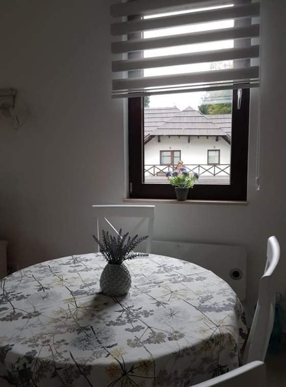 Vila Irina - Apartman Milos Kopaonik Exterior foto